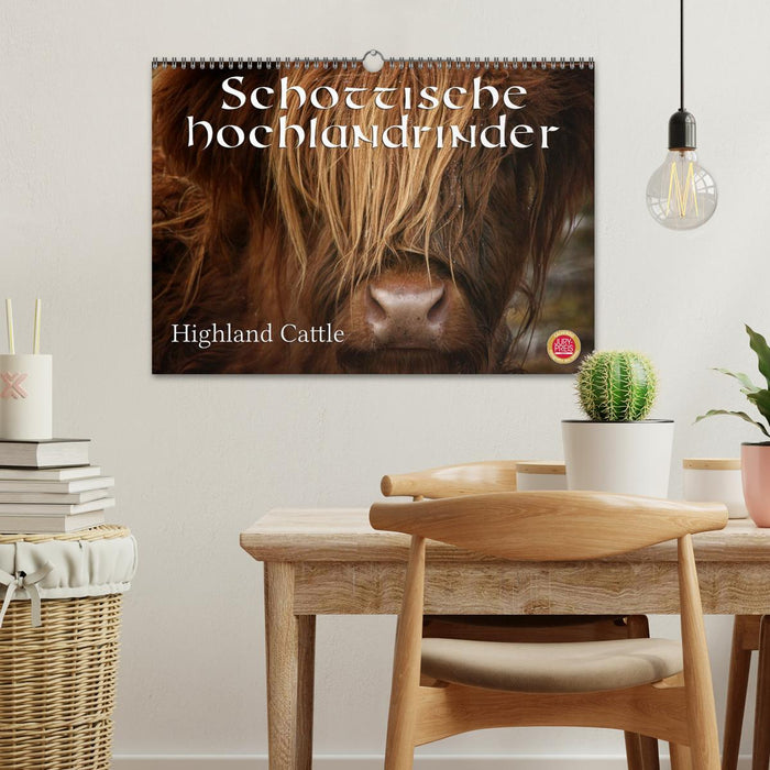 Schottische Hochlandrinder - Highland Cattle (CALVENDO Wandkalender 2025)