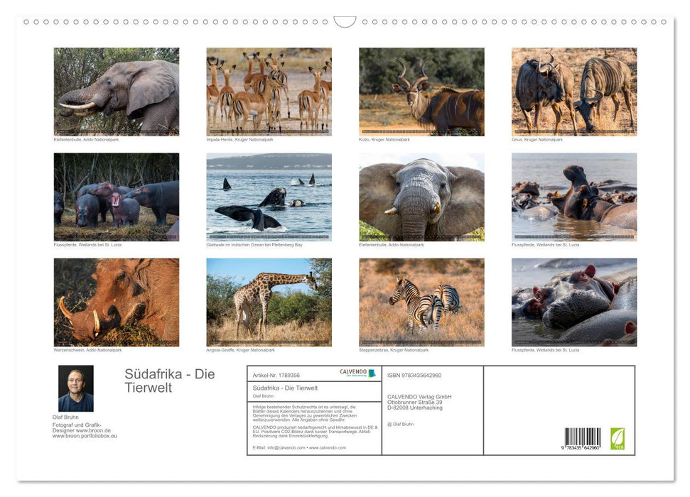 Südafrika - Die Tierwelt (CALVENDO Wandkalender 2025)