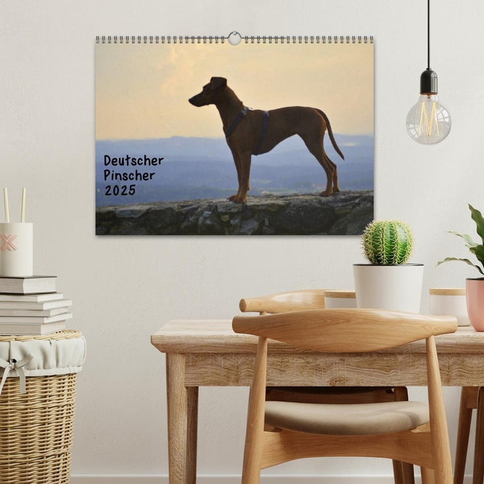 Deutscher Pinscher (CALVENDO Wandkalender 2025)