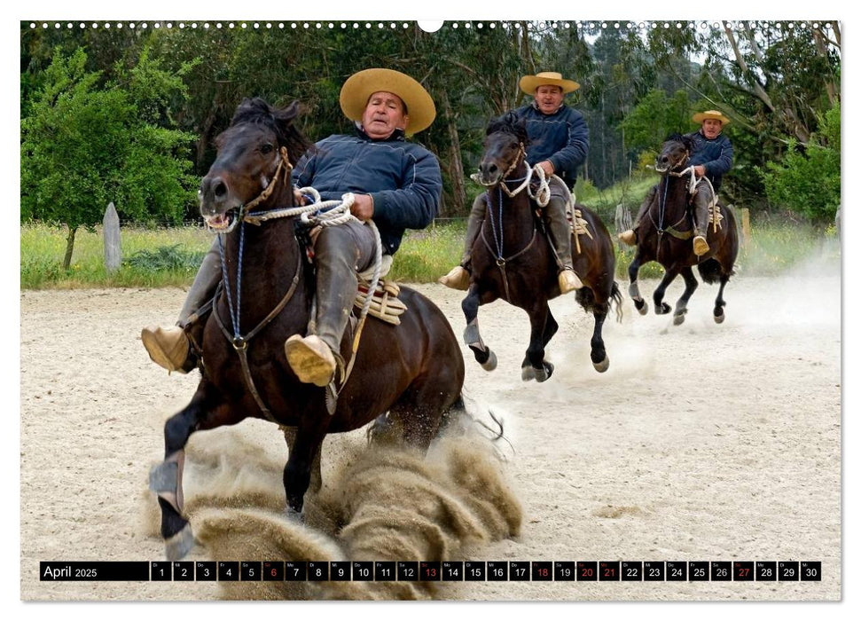 Bewegungsstudien (CALVENDO Wandkalender 2025)