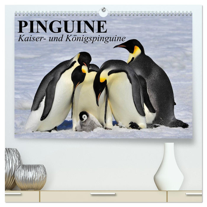 Pinguine - Kaiser- und Königspinguine (CALVENDO Premium Wandkalender 2025)