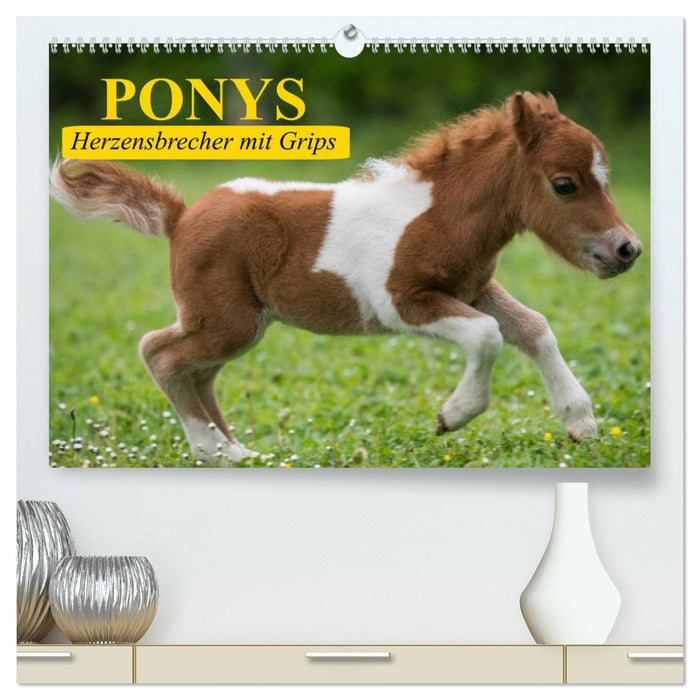 Ponys. Herzensbrecher mit Grips (CALVENDO Premium Wandkalender 2025)