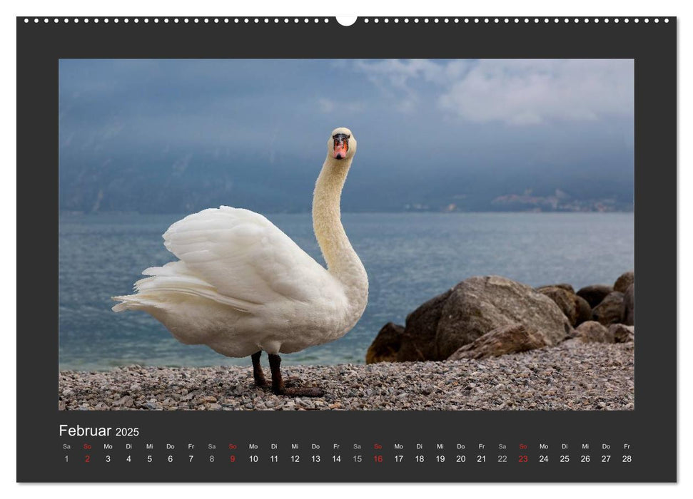 Limone sul Garda - Bella Italia (CALVENDO Premium Wandkalender 2025)