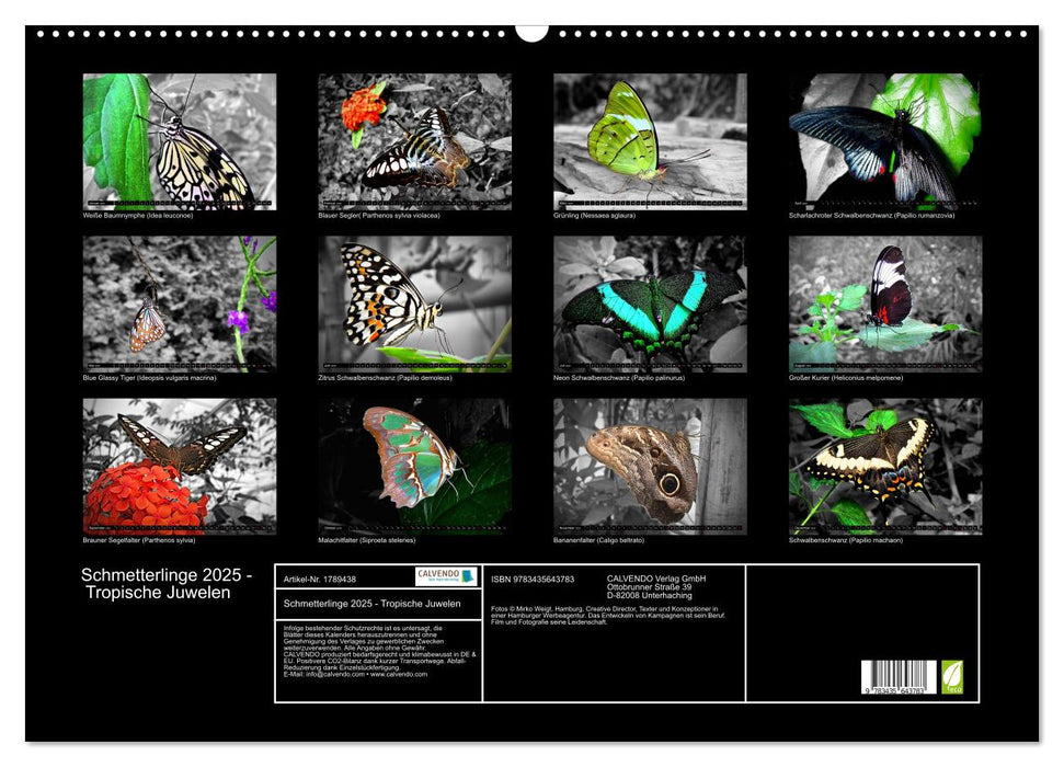 Schmetterlinge 2025 - Tropische Juwelen (CALVENDO Wandkalender 2025)