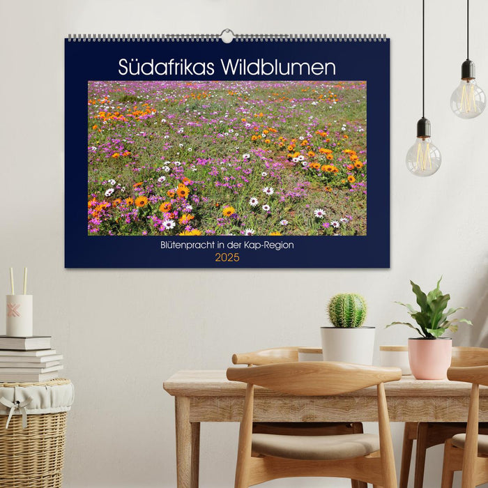 Südafrikas Wildblumen - Blütenpracht in der Kap-Region (CALVENDO Wandkalender 2025)