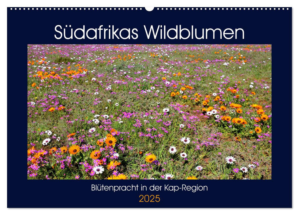 Südafrikas Wildblumen - Blütenpracht in der Kap-Region (CALVENDO Wandkalender 2025)