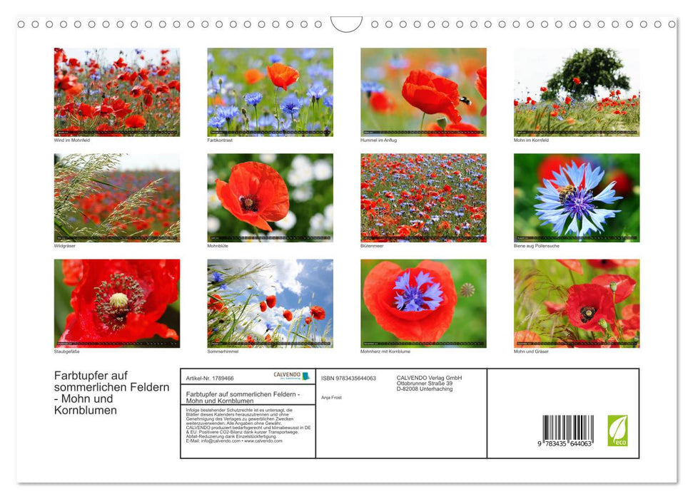 Farbtupfer auf sommerlichen Feldern - Mohn und Kornblumen (CALVENDO Wandkalender 2025)