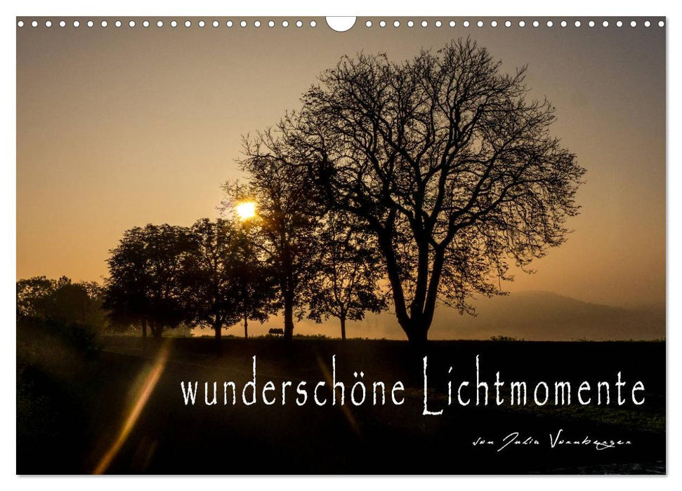 wunderschöne Lichtmomente (CALVENDO Wandkalender 2025)