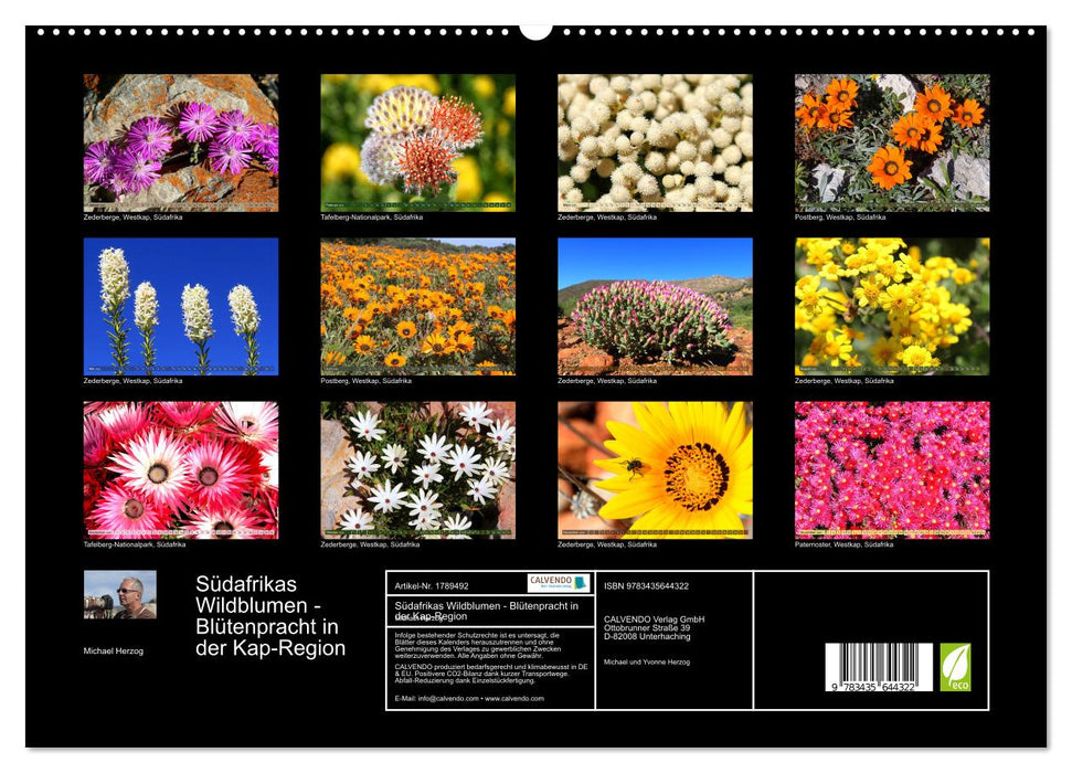 Südafrikas Wildblumen - Blütenpracht in der Kap-Region (CALVENDO Premium Wandkalender 2025)