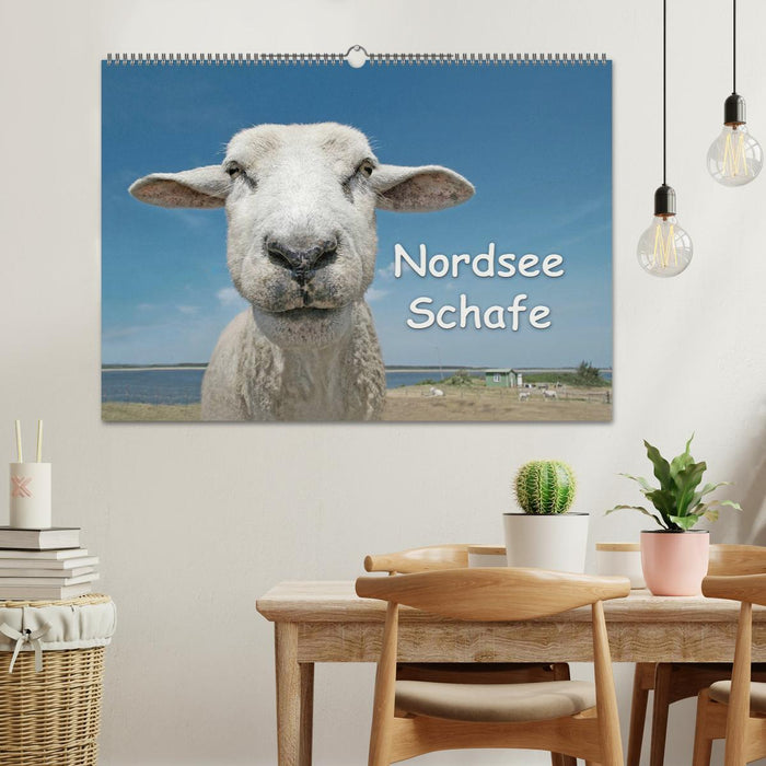 Nordsee Schafe (CALVENDO Wandkalender 2025)