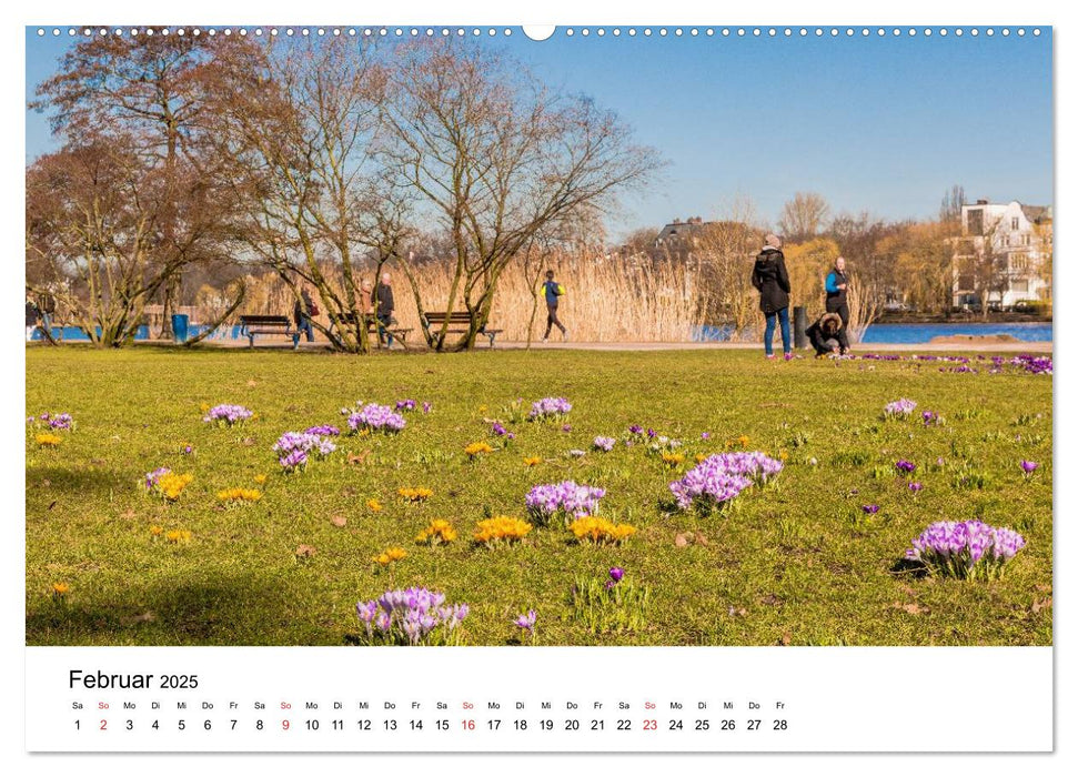 Grünes Hamburg (CALVENDO Wandkalender 2025)