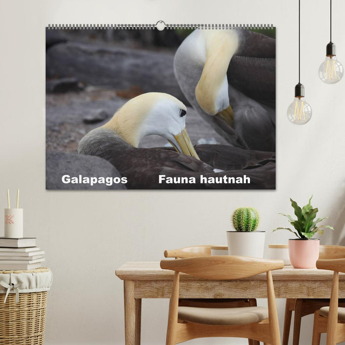 Galapagos. Fauna hautnah (CALVENDO Wandkalender 2025)