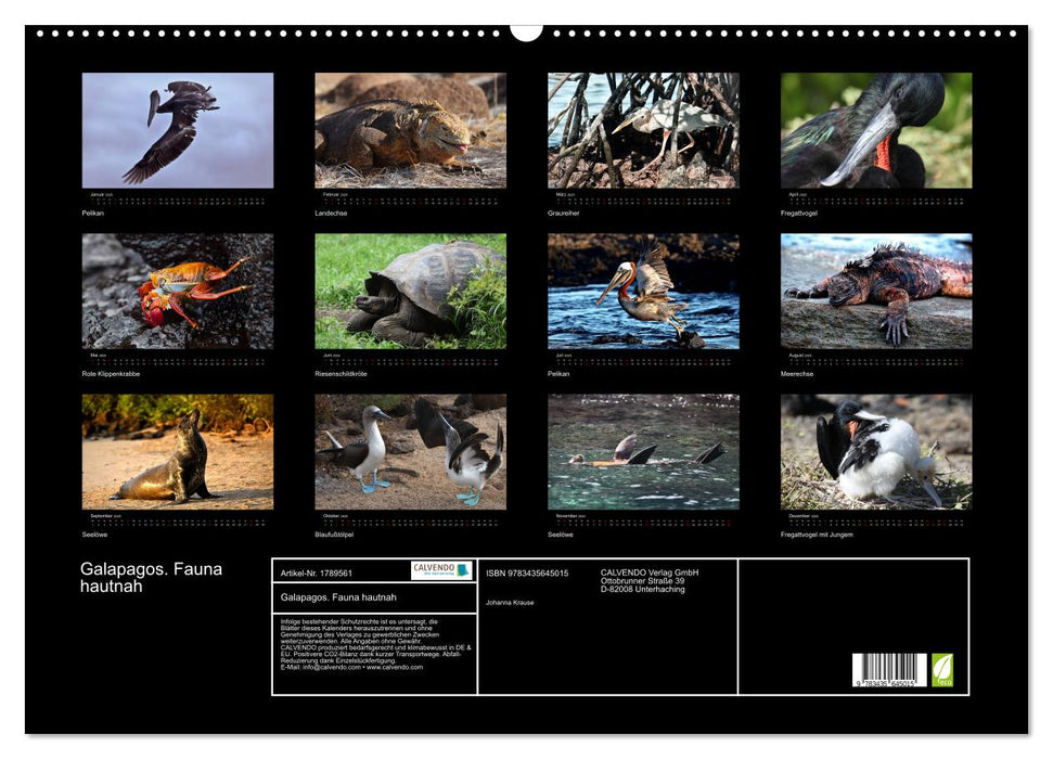 Galapagos. Fauna hautnah (CALVENDO Wandkalender 2025)