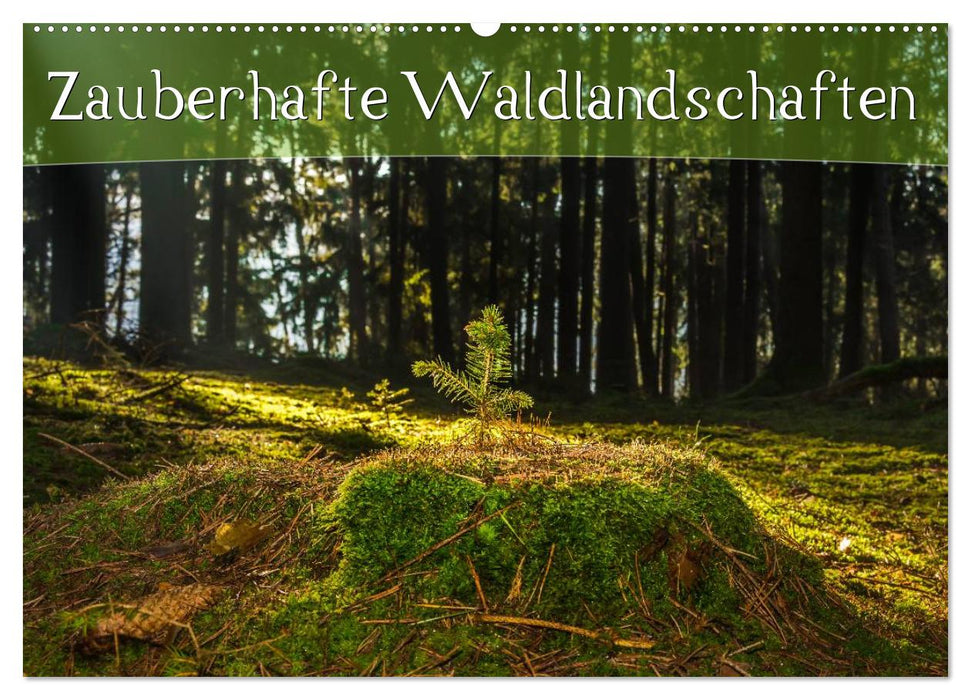 Zauberhafte Waldlandschaften (CALVENDO Wandkalender 2025)