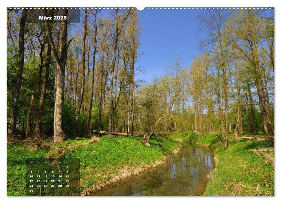 Zauberhafte Waldlandschaften (CALVENDO Wandkalender 2025)