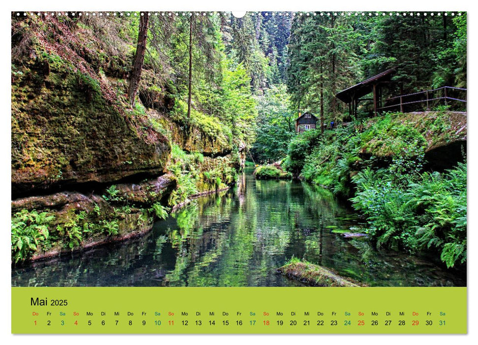 Im Elbsandstein - Sächsisch-böhmische Schweiz (CALVENDO Wandkalender 2025)