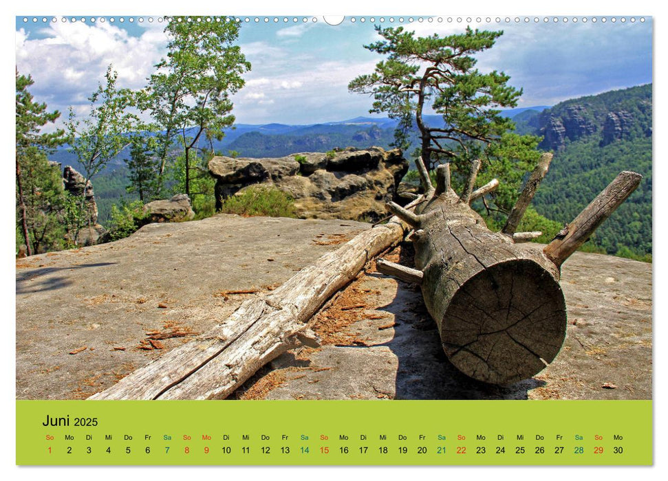 Im Elbsandstein - Sächsisch-böhmische Schweiz (CALVENDO Wandkalender 2025)