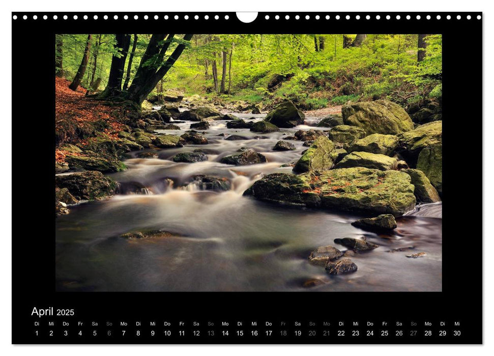 Hohes Venn und Ardennen (CALVENDO Wandkalender 2025)