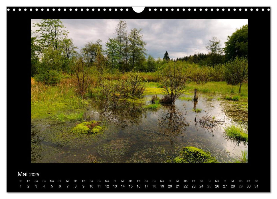 Hohes Venn und Ardennen (CALVENDO Wandkalender 2025)