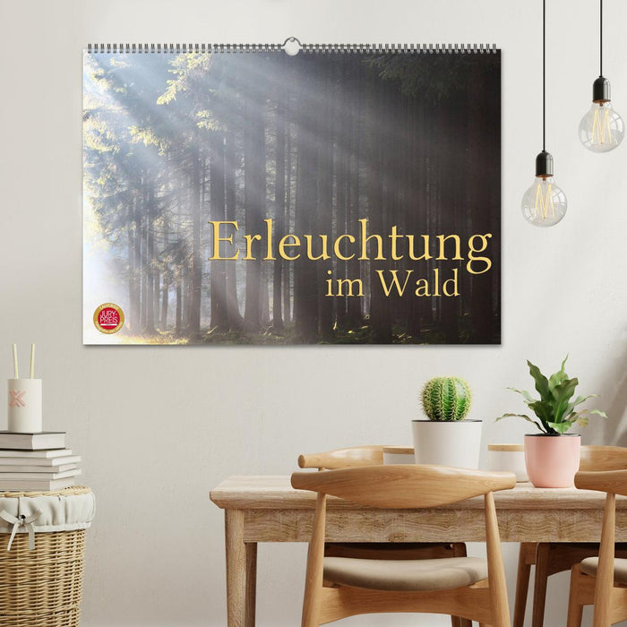 Erleuchtung im Wald (CALVENDO Wandkalender 2025)