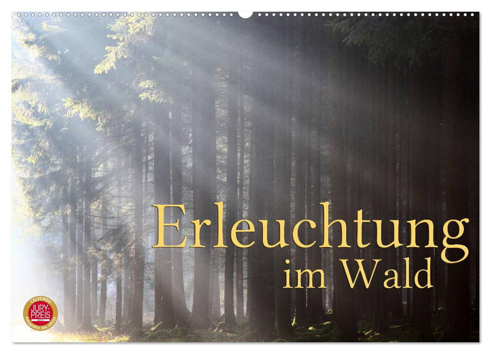 Erleuchtung im Wald (CALVENDO Wandkalender 2025)