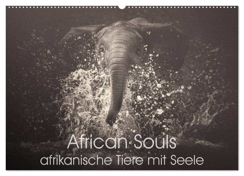 African Souls - afrikanische Tiere mit Seele (CALVENDO Wandkalender 2025)