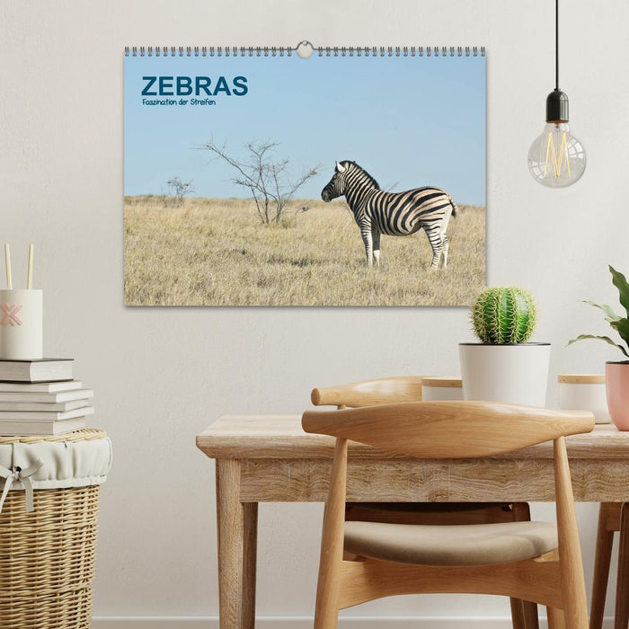 Zebras - Faszination der Streifen (CALVENDO Wandkalender 2025)