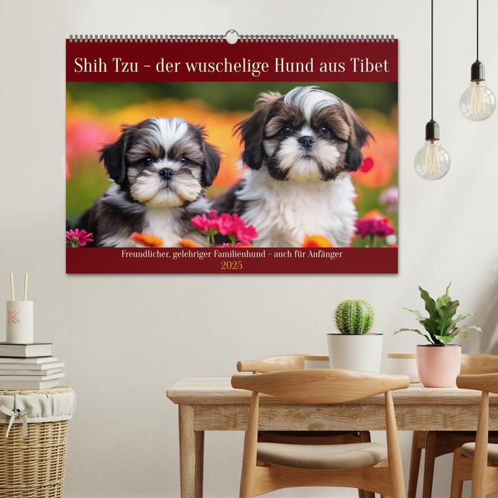 Shih Tzu - der wuschelige Hund aus Tibet (CALVENDO Wandkalender 2025)