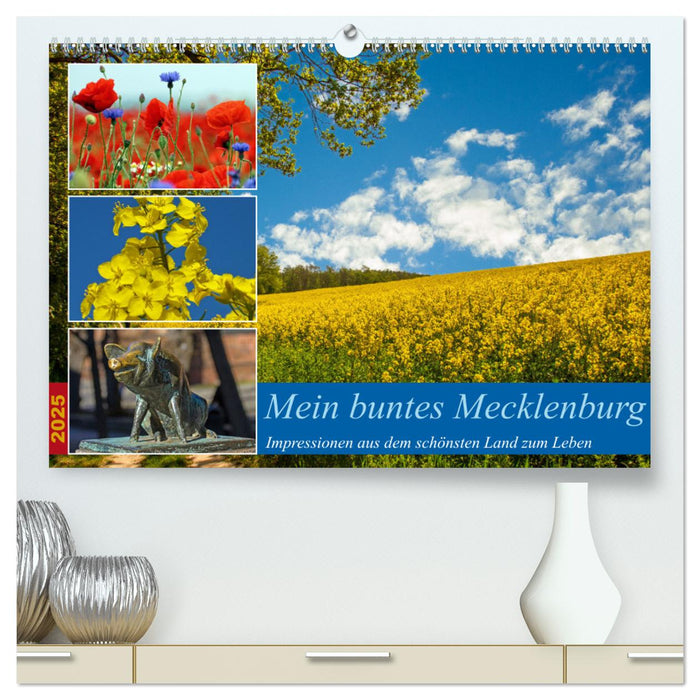 Mein buntes Mecklenburg (CALVENDO Premium Wandkalender 2025)