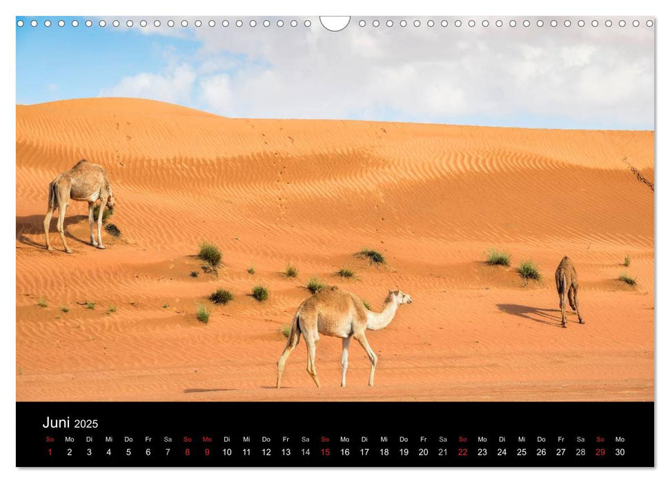 Oman - Die Wüste Wahiba (CALVENDO Wandkalender 2025)