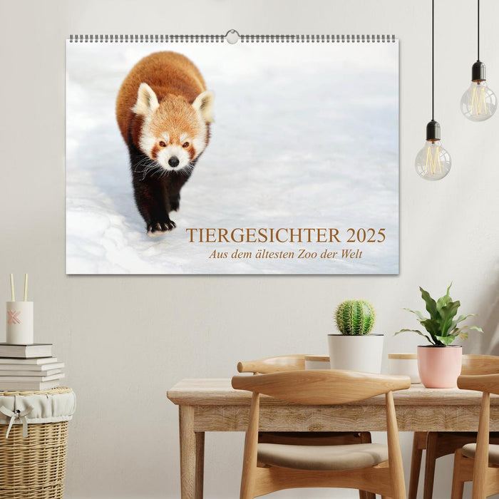 Tiergesichter 2025 (CALVENDO Wandkalender 2025)