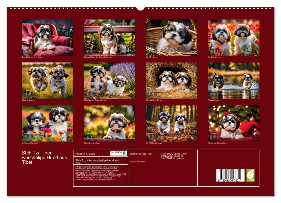 Shih Tzu - der wuschelige Hund aus Tibet (CALVENDO Premium Wandkalender 2025)