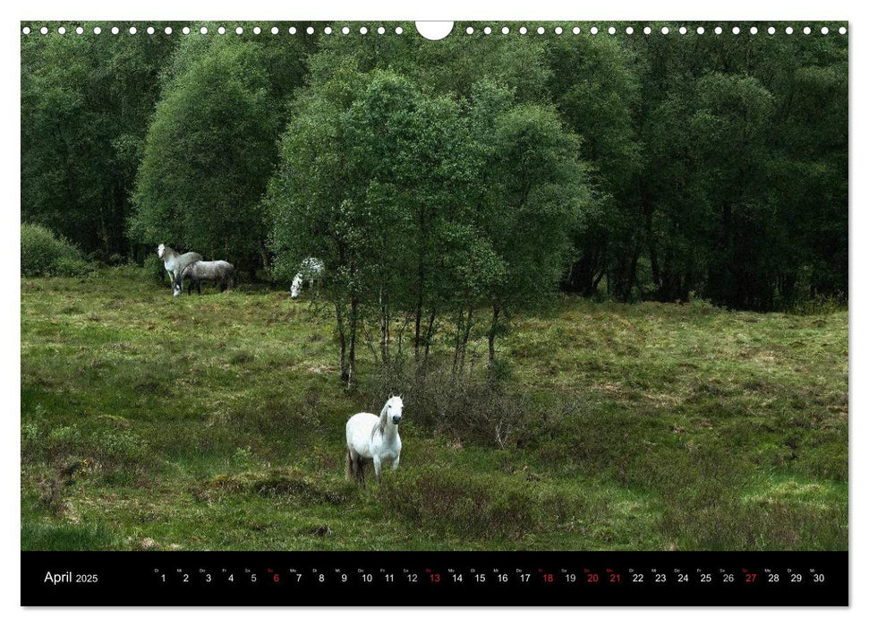 SCHOTTLAND - A ROMANCE (CALVENDO Wandkalender 2025)