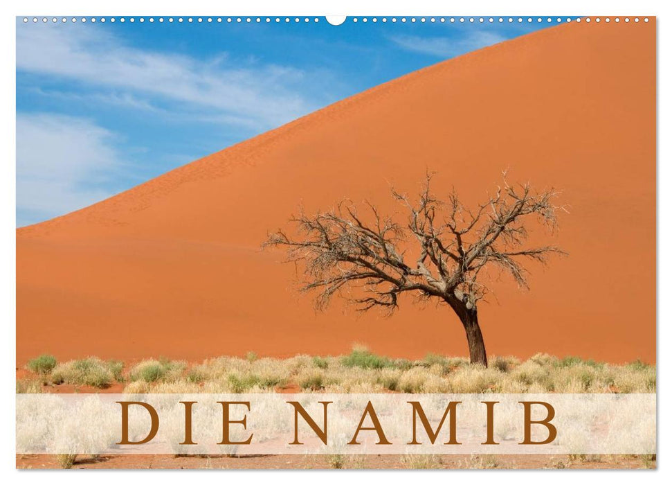 Die Namib (CALVENDO Wandkalender 2025)