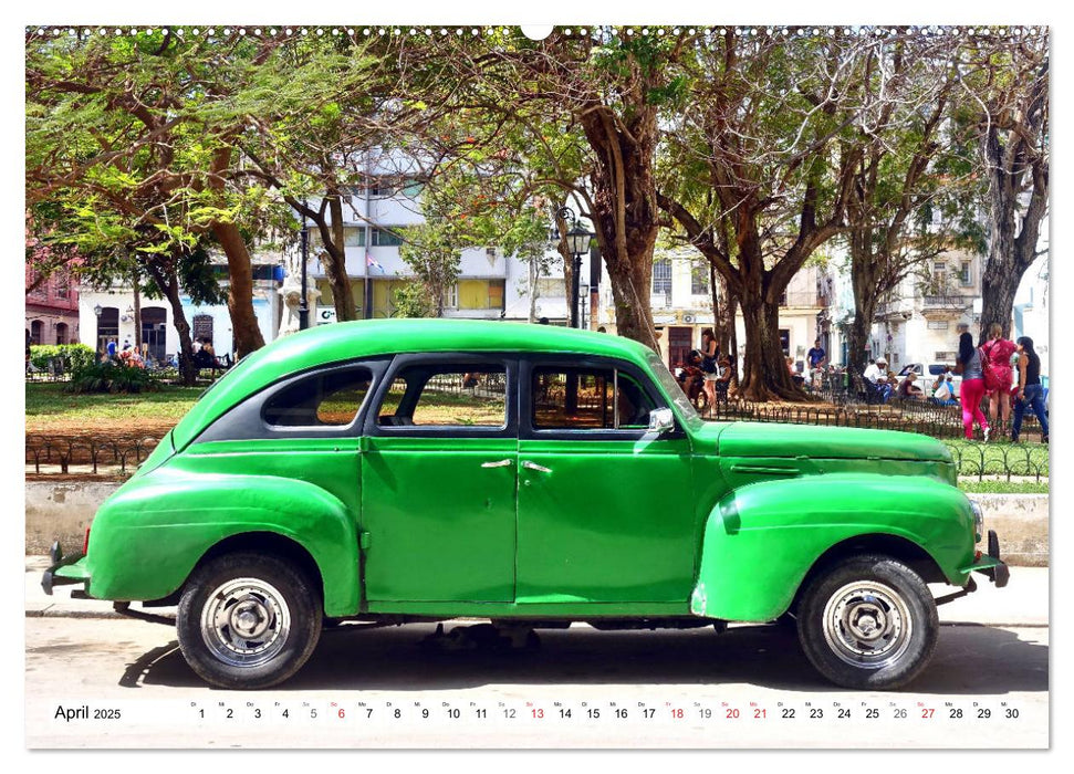 Die Grünen in Kuba - Oldtimer-Raritäten (CALVENDO Premium Wandkalender 2025)