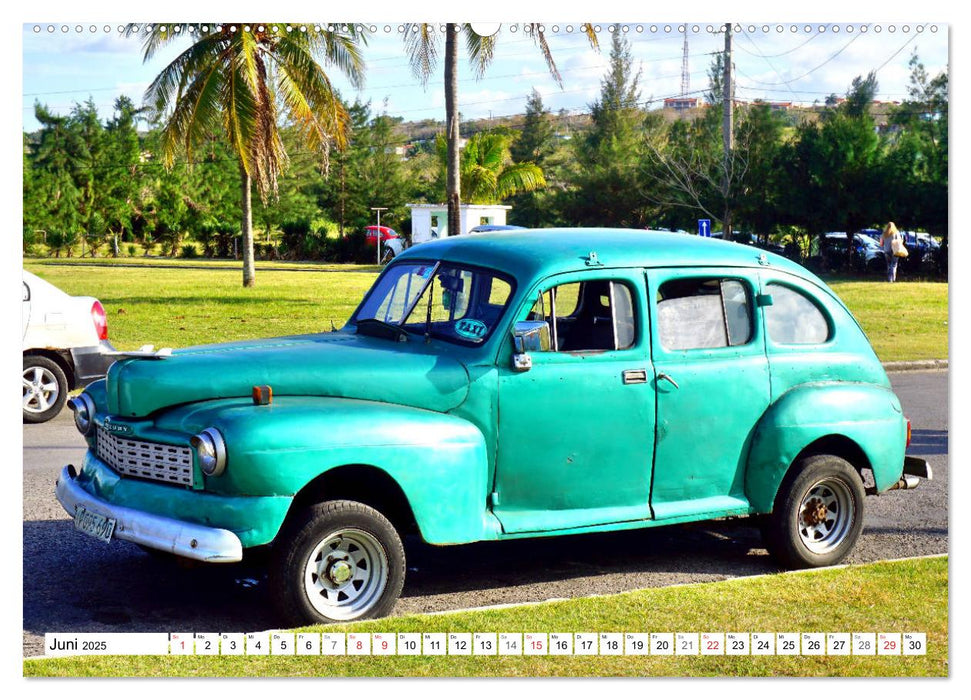 Die Grünen in Kuba - Oldtimer-Raritäten (CALVENDO Premium Wandkalender 2025)