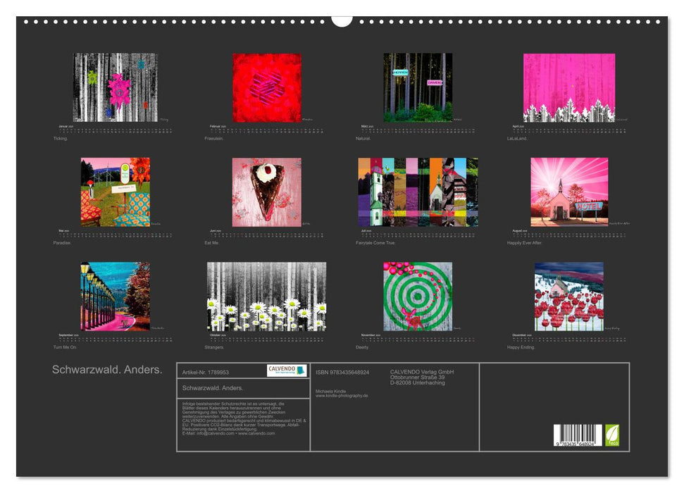 Schwarzwald. Anders. (CALVENDO Wandkalender 2025)