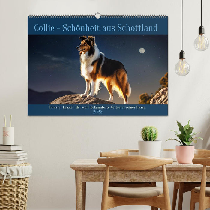 Traumhund Collie (CALVENDO Wandkalender 2025)