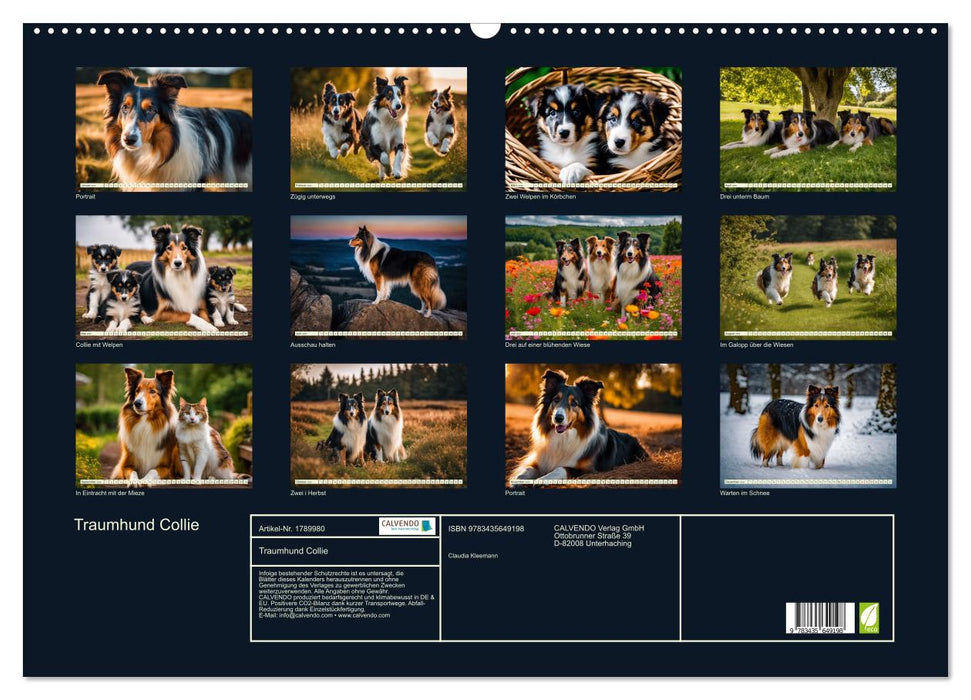 Traumhund Collie (CALVENDO Wandkalender 2025)