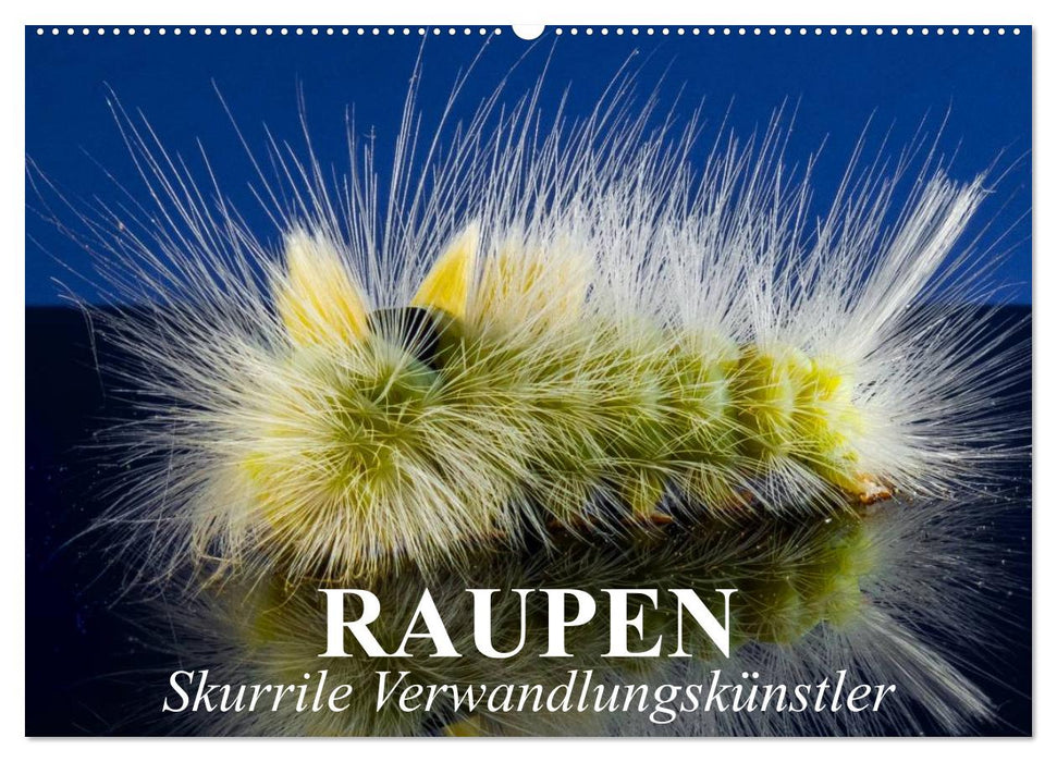 Raupen - Skurrile Verwandlungskünstler (CALVENDO Wandkalender 2025)