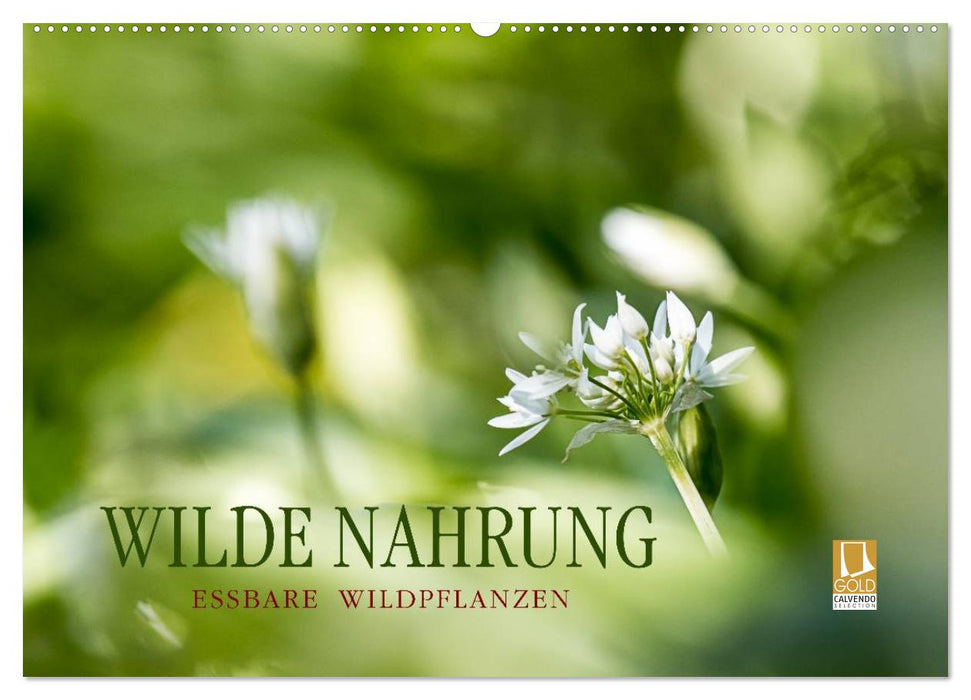 WILDE NAHRUNG (CALVENDO Wandkalender 2025)