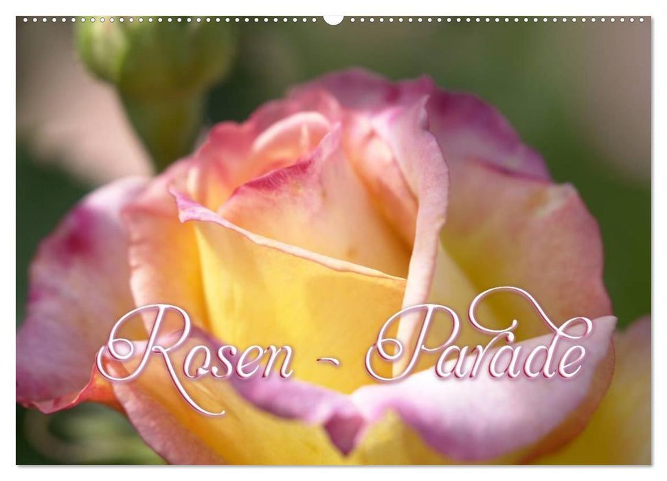 Rosen - Parade (CALVENDO Wandkalender 2025)