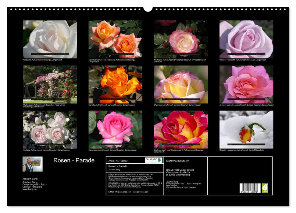 Rosen - Parade (CALVENDO Wandkalender 2025)