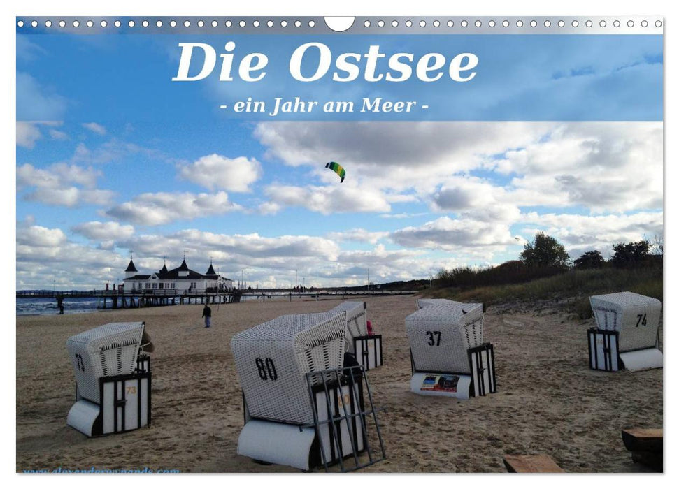 Die Ostsee - Ein Jahr am Meer (CALVENDO Wandkalender 2025)