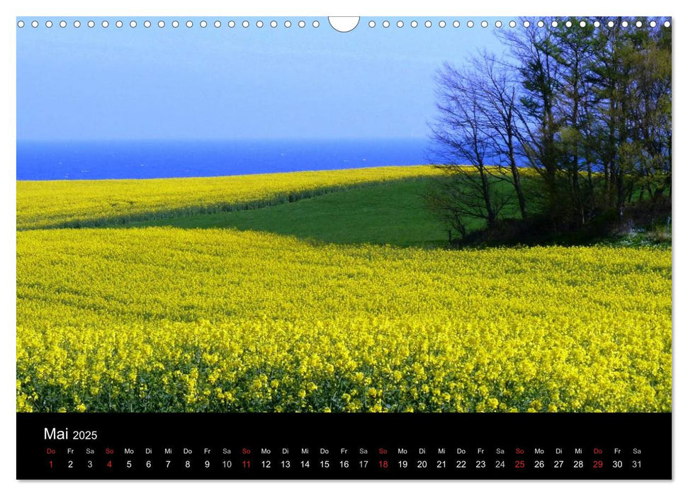 Die Ostsee - Ein Jahr am Meer (CALVENDO Wandkalender 2025)