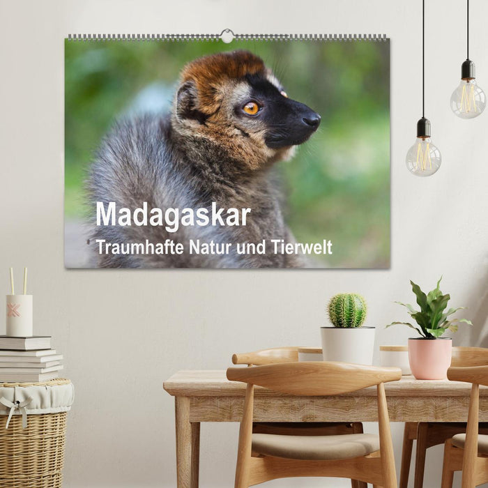 Madagaskar. Traumhafte Natur und Tierwelt (CALVENDO Wandkalender 2025)