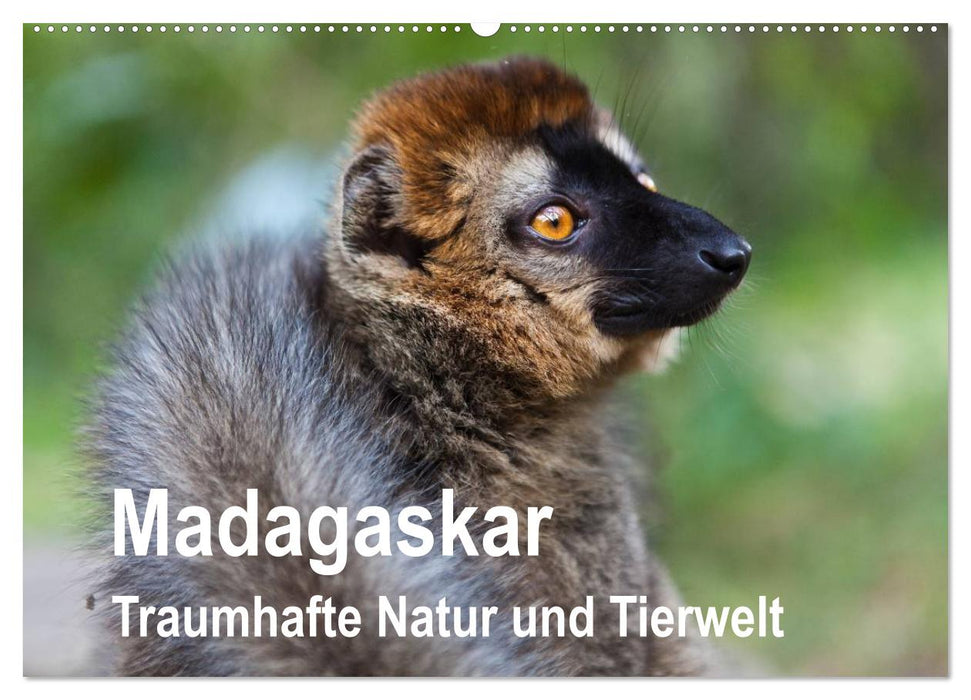 Madagaskar. Traumhafte Natur und Tierwelt (CALVENDO Wandkalender 2025)