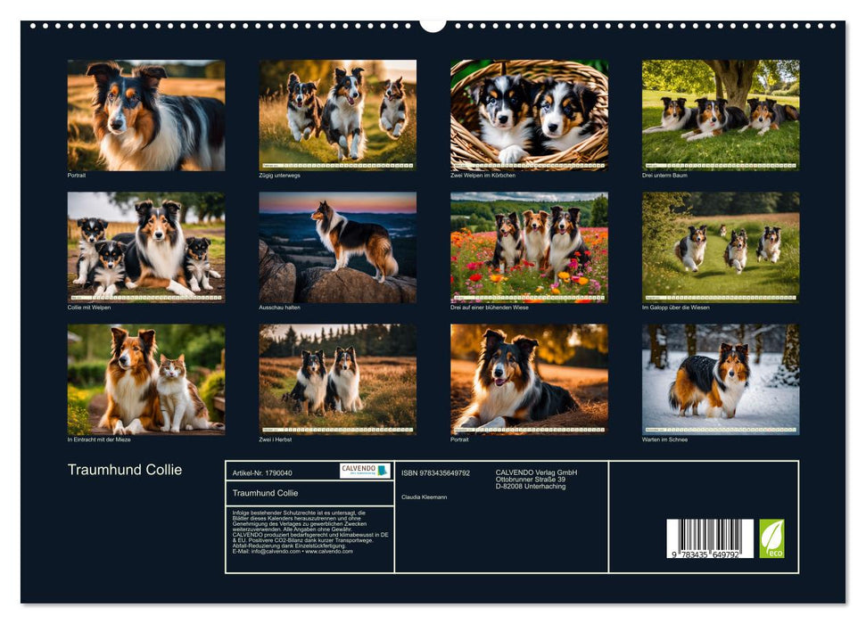 Traumhund Collie (CALVENDO Premium Wandkalender 2025)