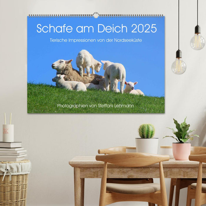 Schafe am Deich 2025. Tierische Impressionen von der Nordseeküste (CALVENDO Wandkalender 2025)