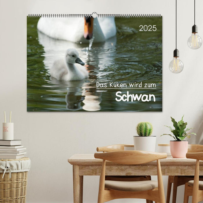 Das Küken wird zum Schwan (CALVENDO Wandkalender 2025)